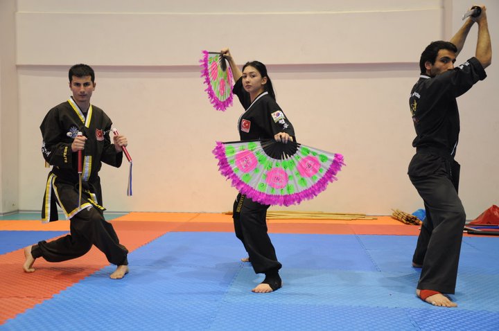 İSTANBUL HAPKİDO SEMİNERİ-2011